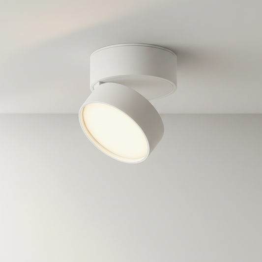studio shot of cylindrical aluminum downlight against white background
