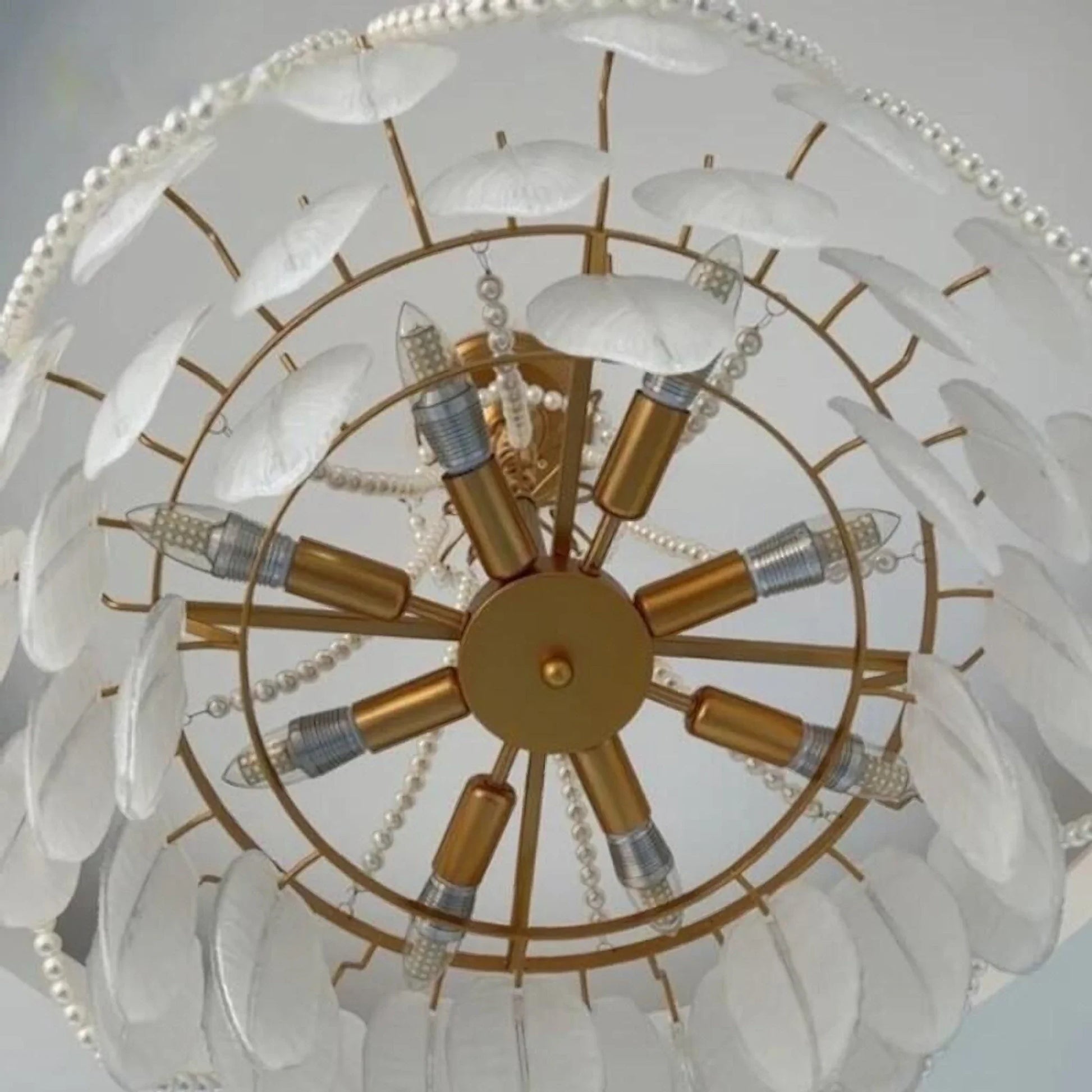 Gust Glass Feather Elegant Chandelier - Chandeliers | Lucera Lighting