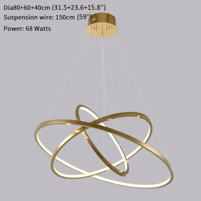 Gorse Large Ring Stainless Steel Light Fixture - Chandeliers | Lucera Lighting