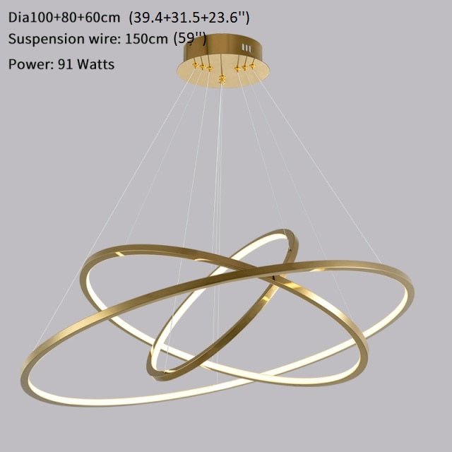 Gorse Large Ring Stainless Steel Light Fixture - Chandeliers | Lucera Lighting