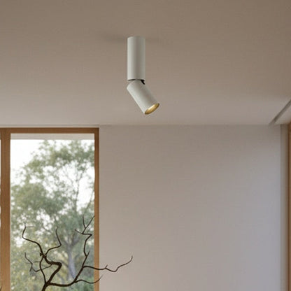 Fixture Close Up