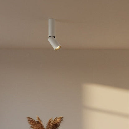 Fixture Close Up