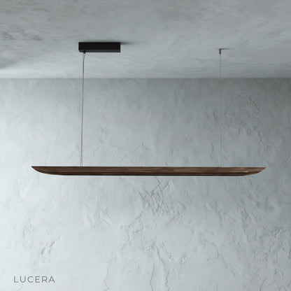 Fauvist pendant light hanging above a cozy office desk with warm ambient light and soft shadows