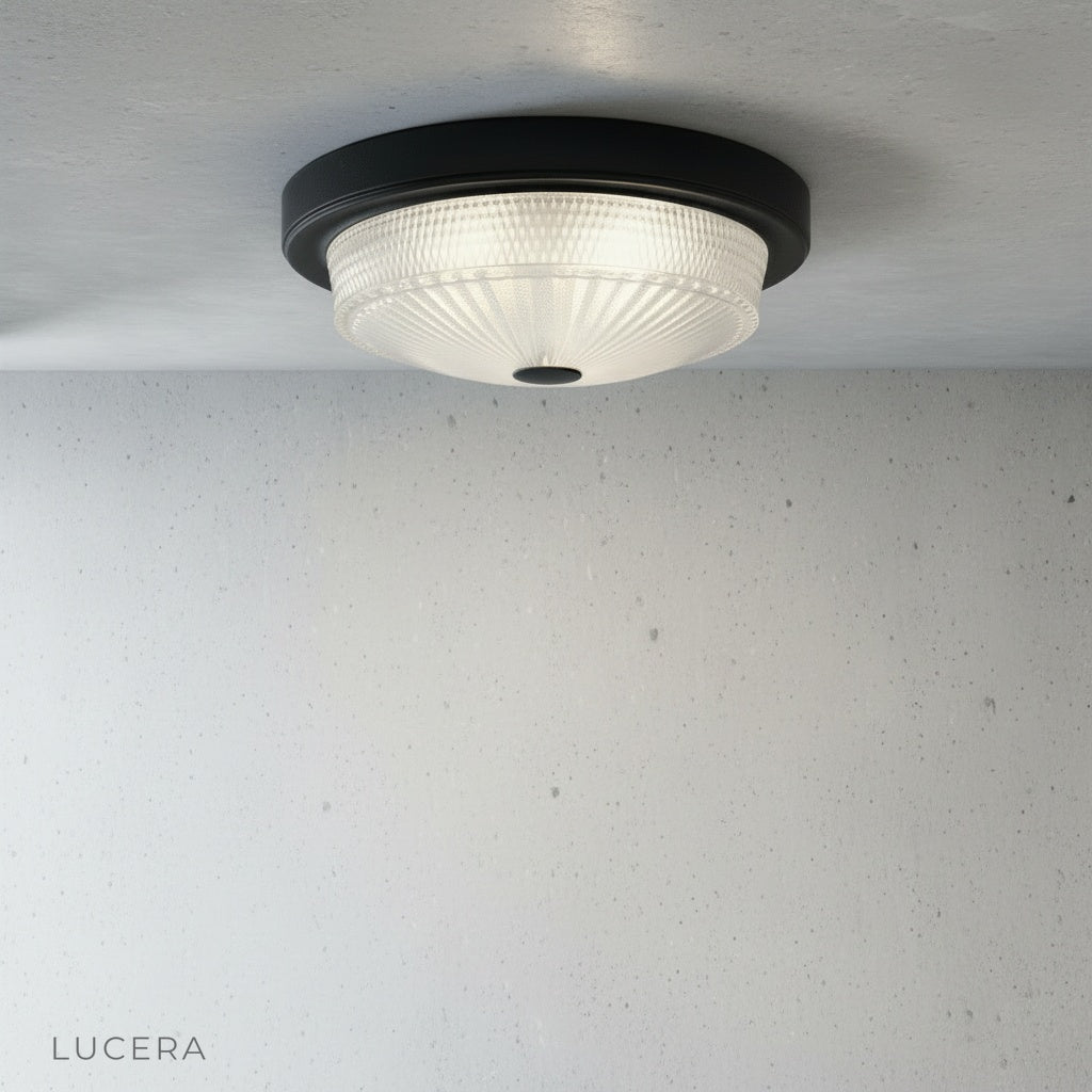 Veneration ceiling light with black finish mounted in minimalist hallway for contemporary decor