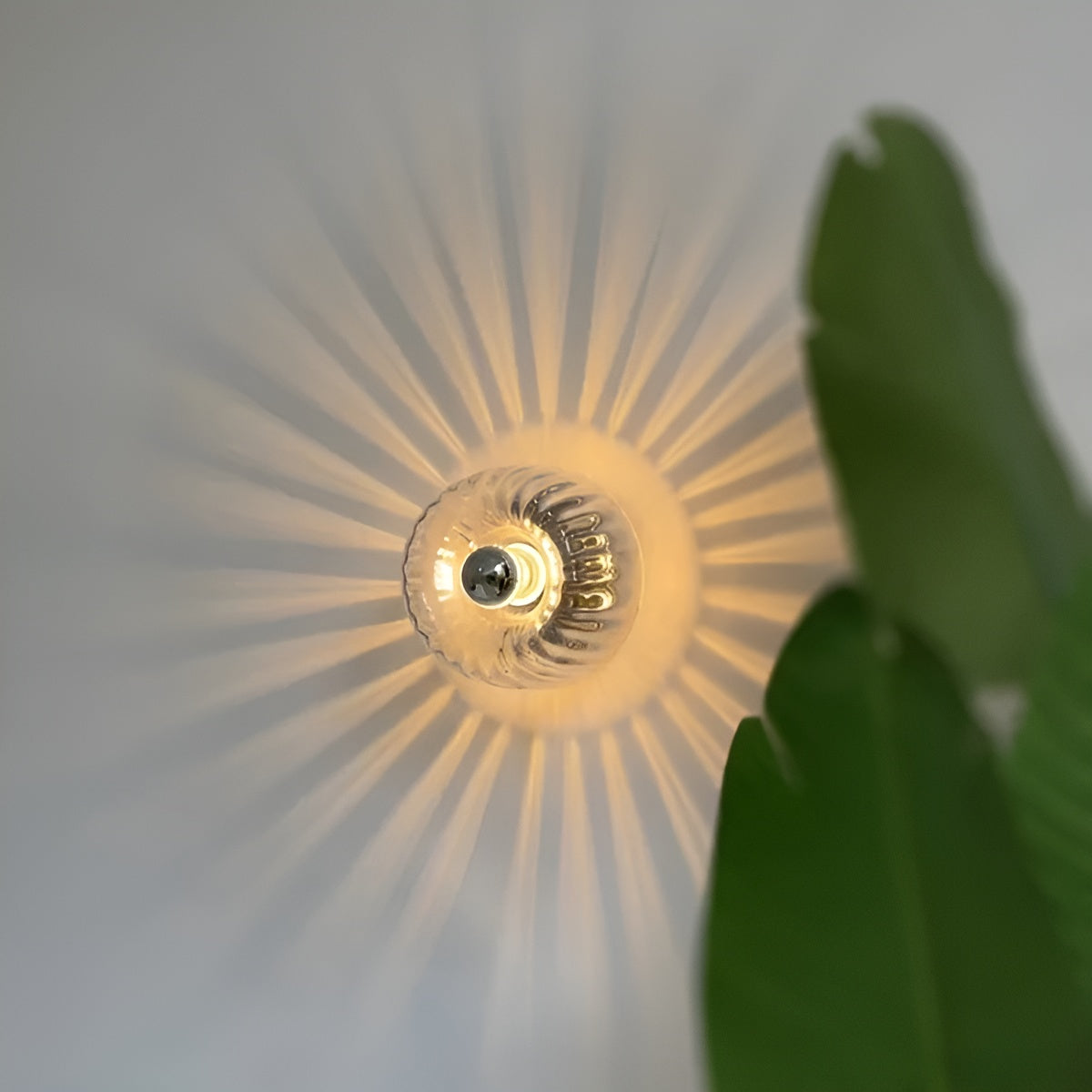 ScandiElegance Glass Wall Lamp - Bauhaus Glass Wall Sconce