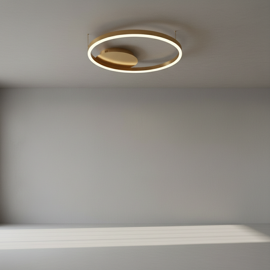 studio shot of Caterina ceiling light with iron and acrylic rings on clean white background