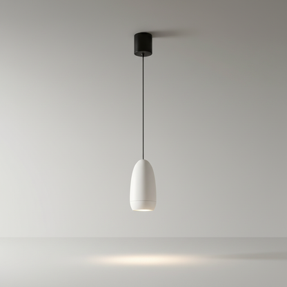 studio shot of brushed aluminum capsule pendant light on clean white background