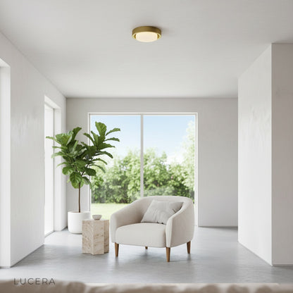 William Ceiling Light warm ambient glow over minimalist dining table