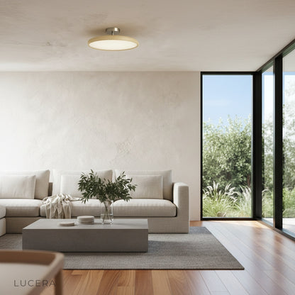 Jubilate ceiling light illuminating modern entryway with neutral decor