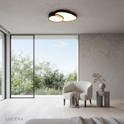 Yielding ceiling light in a bright studio apartment with neutral tones and wood accents